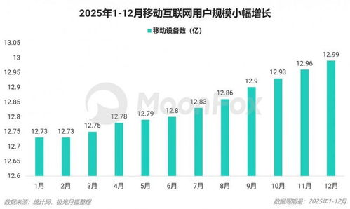 2025年Q4移动互联网行业数据研究报告 固定与电信服务的深度融合与竞争态势